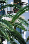 The Annabelle Hotel 
